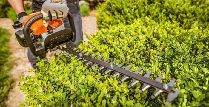 How To Trim Bushes With An Electric Trimmer