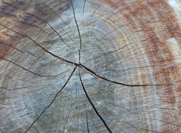 How To Stop A Crack In Wood From Spreading